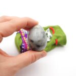 Nefrito kiaušinis, nefrito akmuo, nefritas, nefrito kiaušinis kaina, vidutinis nefrito kiaušinis, mažas nefrito kiaušinis, nefrito kiaušinis gimdžiusi, nefritinis kiaušinis, yoni kiaušinis, joni kiaušinis, joni egg, yoni egg, nefritinis kiaušinis, kristalo kiausinis